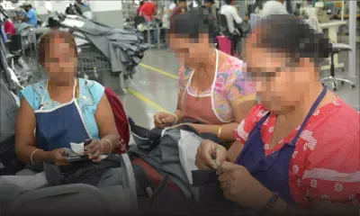 Main-d’œuvre étrangère : plus de 350 ouvriers se baladent illégalement dans la nature