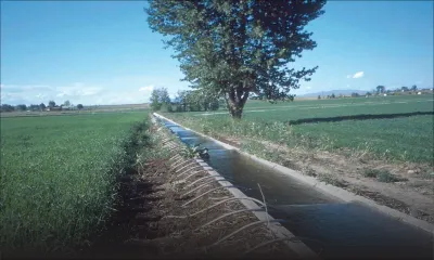 Water Rights à 1017 concessionnaires: la CWA a perçu Rs 81 000 en 2015