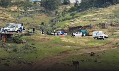 Rodrigues : un cadavre déterré à Patate Théophile