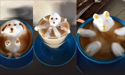 «Latte art» : un chef-d’oeuvre dans la tasse