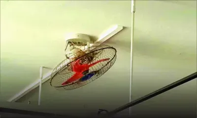 Un nid dans le ventilateur de l’hôpital