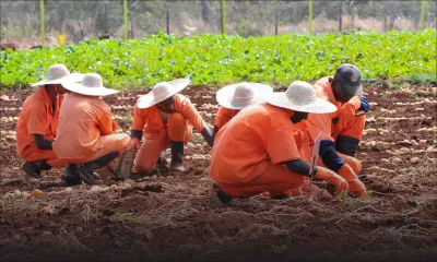 Centres pénitenciers : 2.330 personnes incarcérées à août 2017