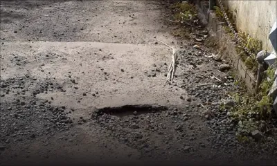 À Mont-Ida : elle se plaint d’une rue non asphaltée