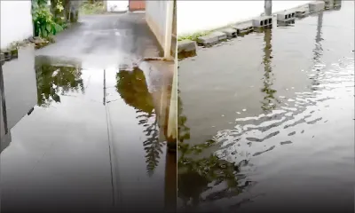 Bois-Pignolet, Terre-Rouge : une fuite d’eau toujours pas réparée après 8 mois