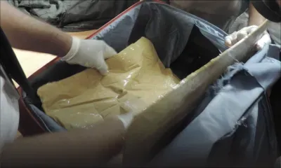 MRA : Rs 934 millions de drogues et produits illicites saisis en deux ans