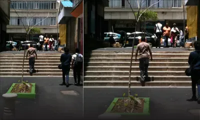 Protéger l’environnement svp !