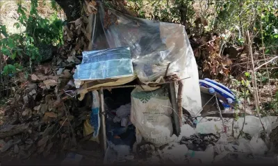 Auteur de divers vols dans le nord : un éboueur arrêté après trois semaines de cavale dans les bois