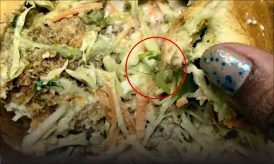 Des cheveux dans un pain ‘tikka poulet’, que dois-je faire ?