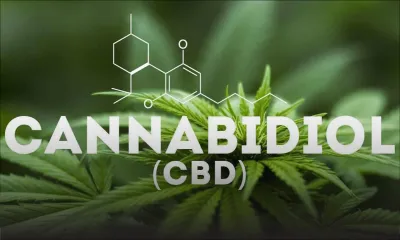 Dangerous Drugs Amendment Bill : décriminalisation de la consommation de drogue et du cannabis médical 