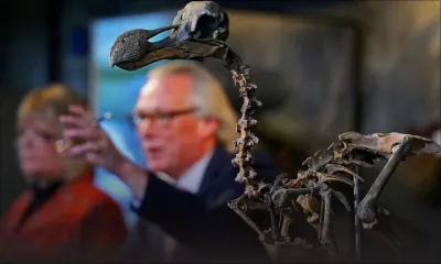Aux enchères : un squelette de dodo vendu à plus de Rs 15 millions