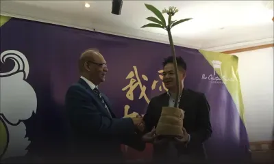 Environnement : Chinatown se met au vert