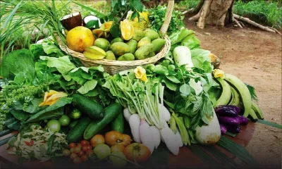 Bio crops : Increasing Demand in Spite of High Price