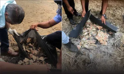 Dans un champ de canne à Daruty : des liasses de billets brûlées