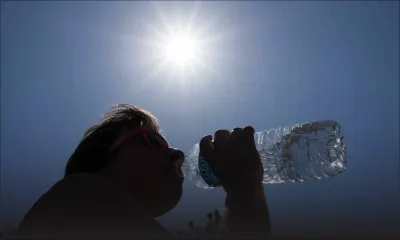 Météo : la chaleur de retour, jusqu’à 31 degrés attendus 