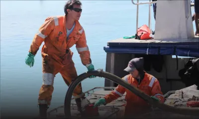Nettoyage du littoral suivant la marée noire : Polyeco en avance sur son calendrier