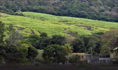 Bois-des-Amourettes : la dangerosité de la route côtière décriée