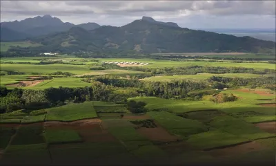 Mémorandum paraphé : assistance indienne officialisée pour soutenir le secteur sucre 