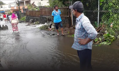 Organisations sociales : un palliatif efficace ?