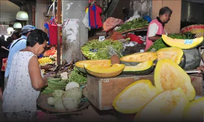 Importation de légumes : les opérateurs attendent toujours l’aval du ministère