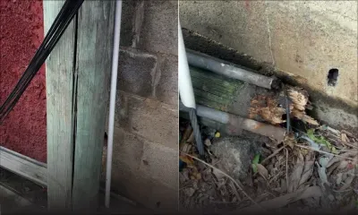 Ces pylônes en bois qui tombent l’un après l’autre