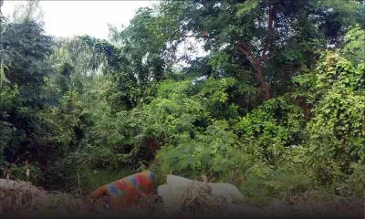 À travers villes et villages : le sempiternel problème des terrains abandonnés