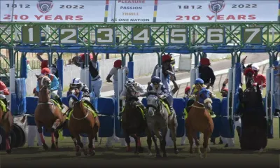 Utilisation du Champ-de-Mars : La MTCSL fait une nouvelle demande de bail