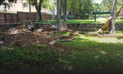 Jardin Balfour : un lieu de détente ombragé