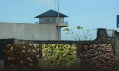 Milieu carcéral : le repas des détenus à la loupe