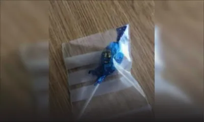 Il distribuait des bonbons à des enfants : Interpellé, un habitant de Goodlands nie les faits