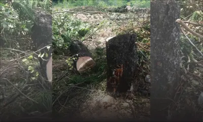 Terres de l’État à Pereybère : controverse autour de la construction d’une Guest-House