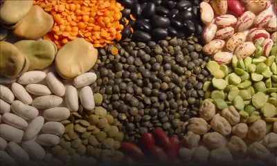 Étude sur la consommation : le Mauricien consomme 9,6 kilos de grains secs par an