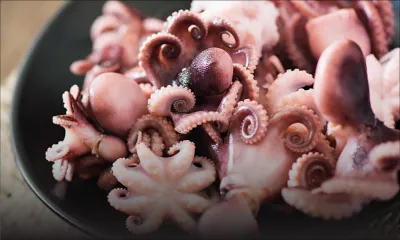 Exportation de fruits de mer : accord tacite avec le Royaume-Uni