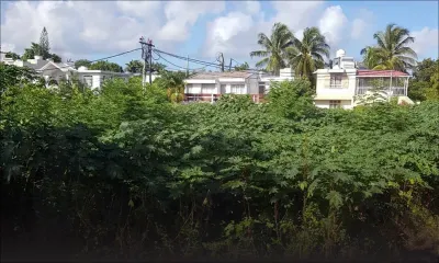 Morcellement Boucan, Mapou : deux terrains à l’abandon préoccupent les habitants
