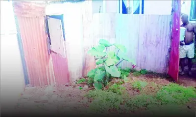 Rétrécissement d’un passage entre deux voisins : il sollicite l’aide du ministère du Logement et des Terres