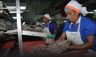 Propositions budgétaires : Business Mauritius plaide pour le démarrage rapide des projets