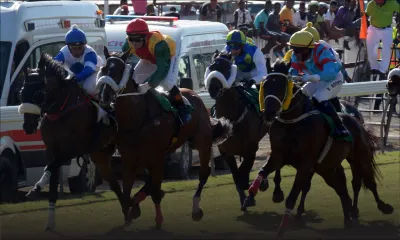 Hippisme : deux bookmakers mettent un terme à leurs opérations «n'étant plus en mesure d'effectuer des paiements»