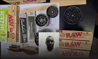 Nigerian Connection : une culture de cannabis découverte dans l’appartement d’un Nigérian