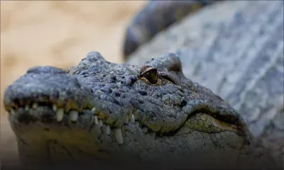 Loisirs - La Vanille Nature Park : forfait intéressant pour les clients du Défideal