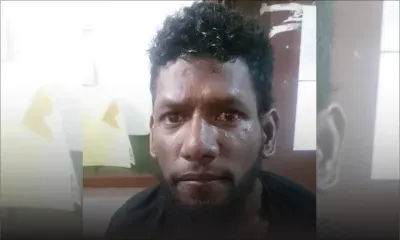 Opération policière dans le Sud : armes à feu découvertes sous des feuilles de palmiste