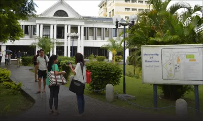 Enseignement supérieur : les grandes tendances des études universitaires 