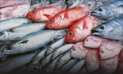 Consommation : la vente de poisson en hausse