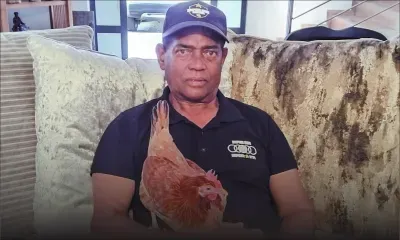 Piou-Piou : le coeur de la maison