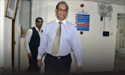 Bétail transporté par avion : la viande de bœuf importée 10 % plus chère