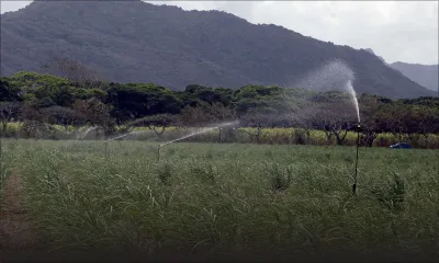 Irrigation Authority: le General Manager suspendu