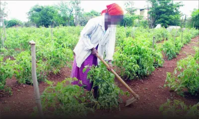 Investissement: des terres agricoles en guise de placements