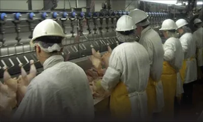 Offres d’emploi à l’étranger : plus de 100 Mauriciens et Rodriguais au Canada en 2018 