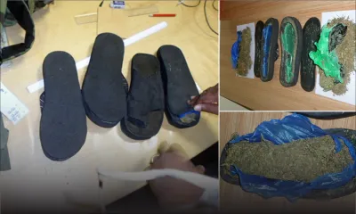 Saisie de cannabis: deux habitants de Rose-Belle arrêtés