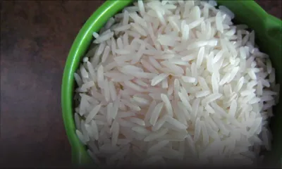 Riz Basmati : un certificat d’authenticité exigé des importateurs