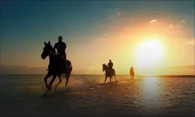 Loisirs - Centre équestre de Riambel : au galop !