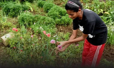 Zia Blooms Florist : quand Berguitta ne fait aucune fleur aux plantations